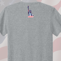 Load image into Gallery viewer, America 250 Landmark Tee
